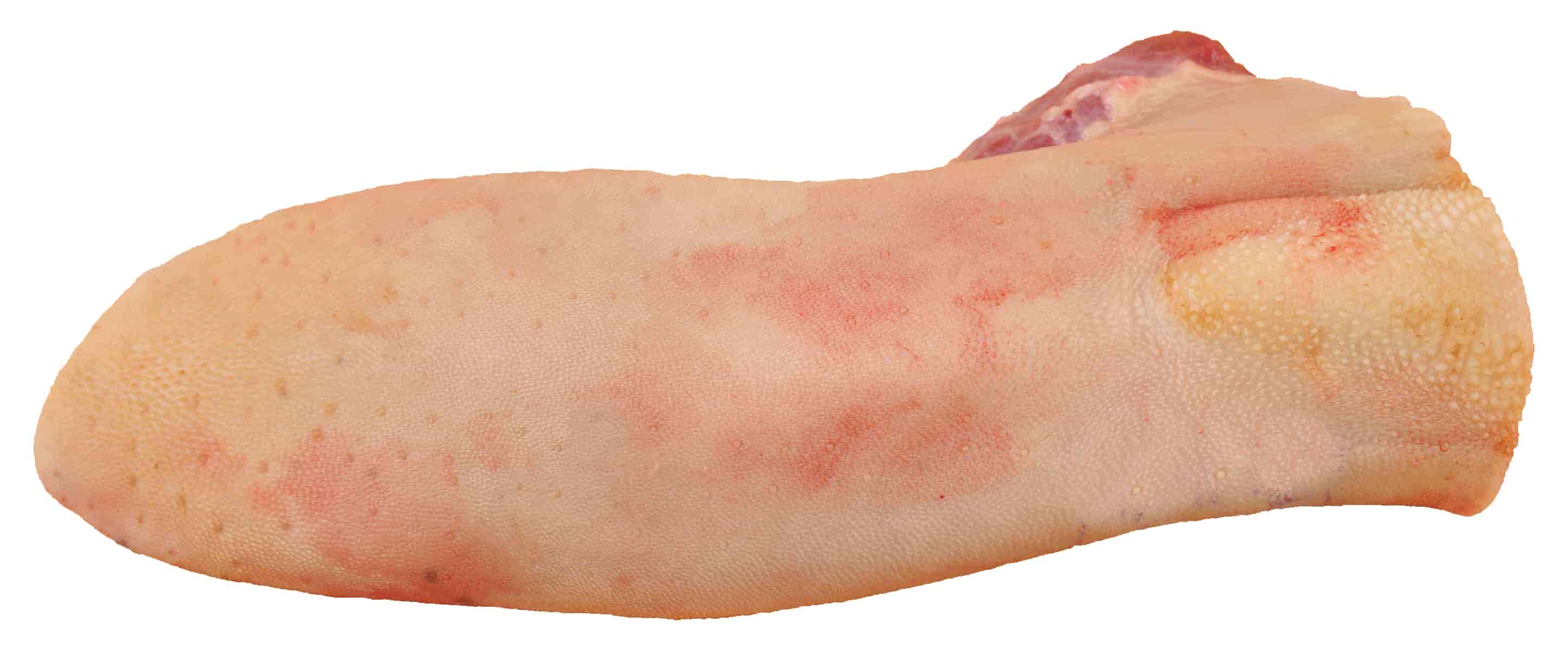 Beef Tongue